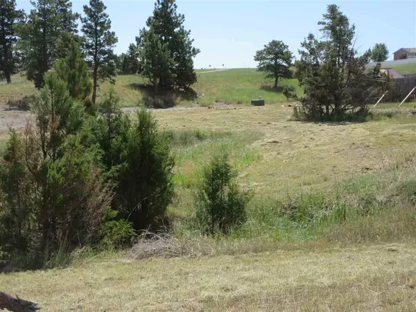 Pendleton Drive, Pine Haven, WY 82721