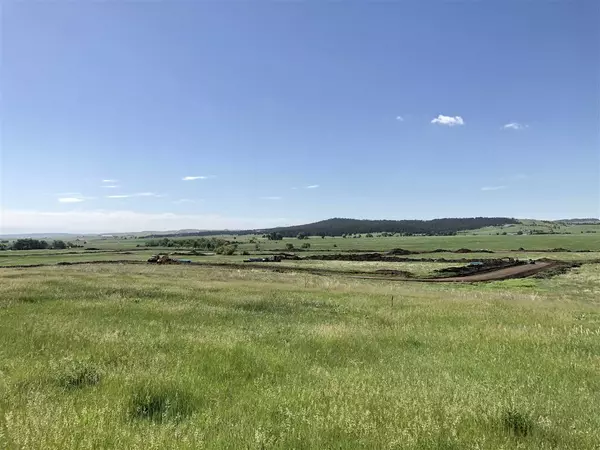 Riata Loop, Piedmont, SD 57769