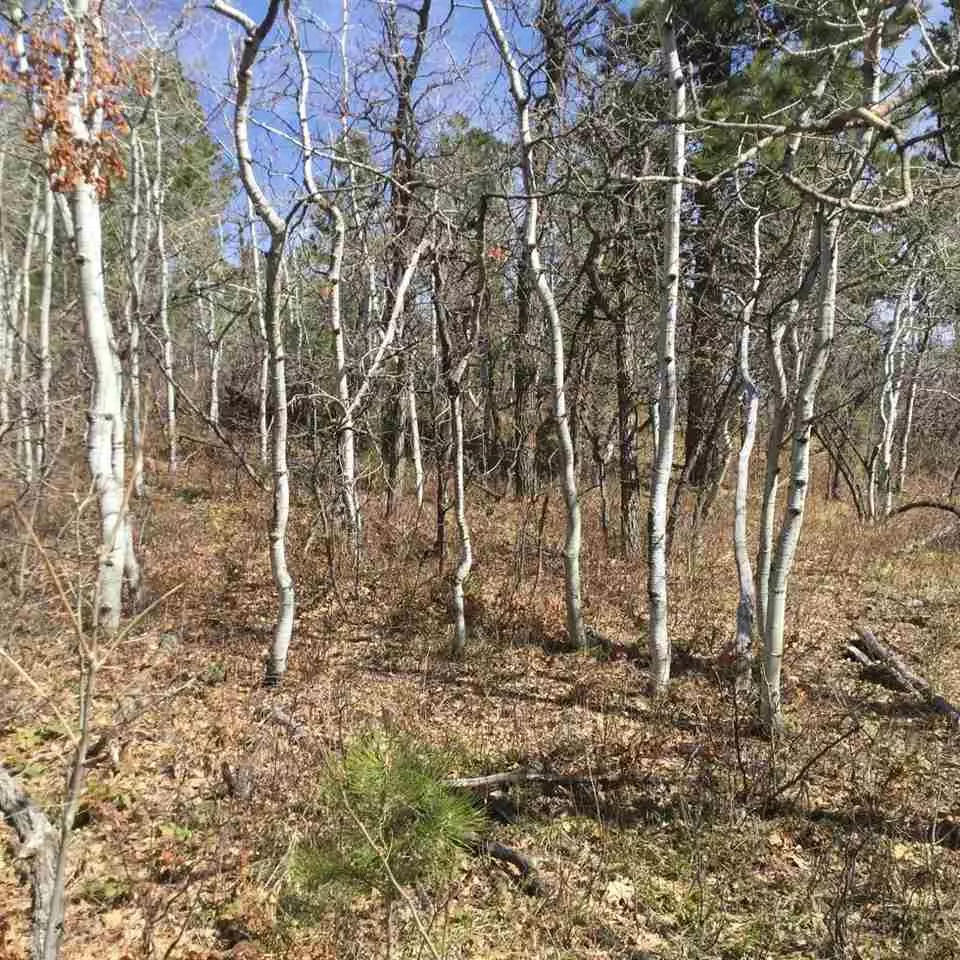 Deadwood, SD 00000-0000,Tetro Rock Road