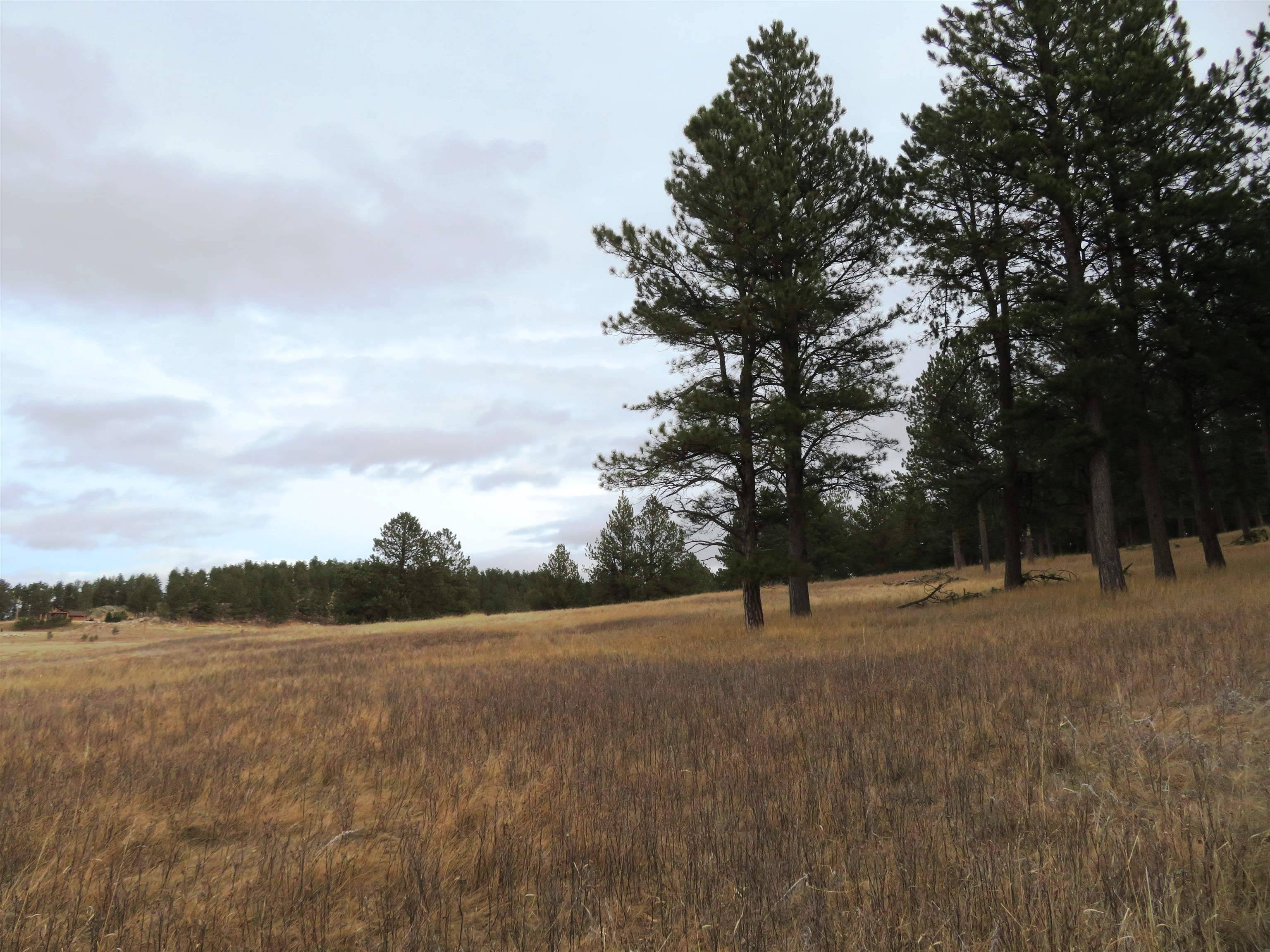 Custer, SD 57730,Windsong Valley Road