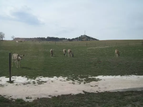 Beulah, WY 82712,83 Red Bluff Road