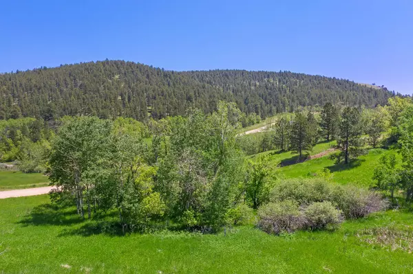 Elk View Loop, Sturgis, SD 57785-0000