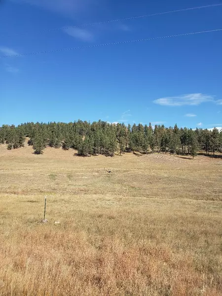 Gold Rush Road, Pringle, SD 57730-0000