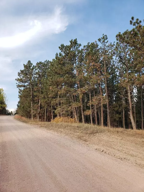 Hermosa, SD 57744-0000,Crooked Canyon Road