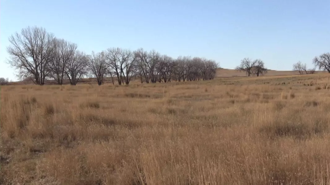 Stonelake Road, Newell, SD 57760