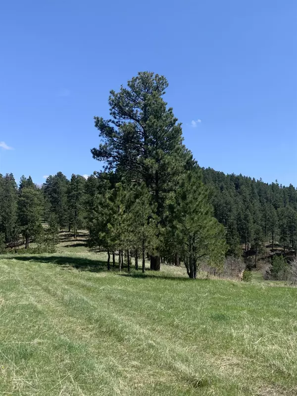 Devils Tower, WY 82714,Lytle Creek Road