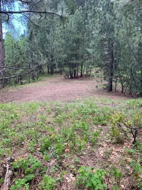 Lead, SD 57754,Toboggan Hill Road