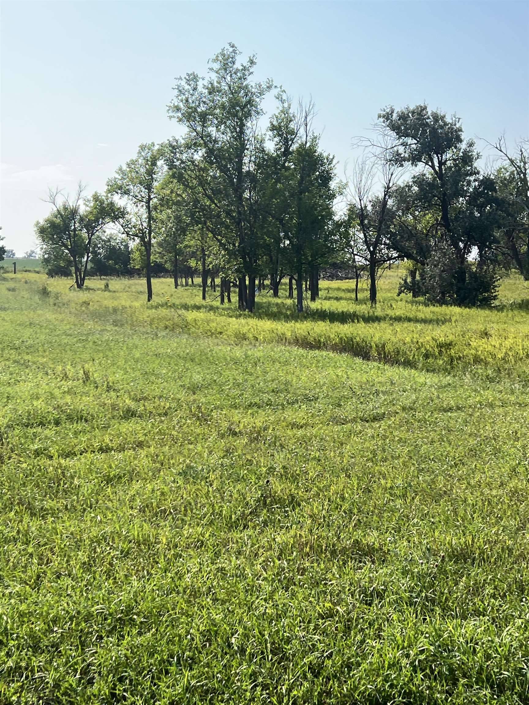 Newell, SD 57760,Barnard Avenue