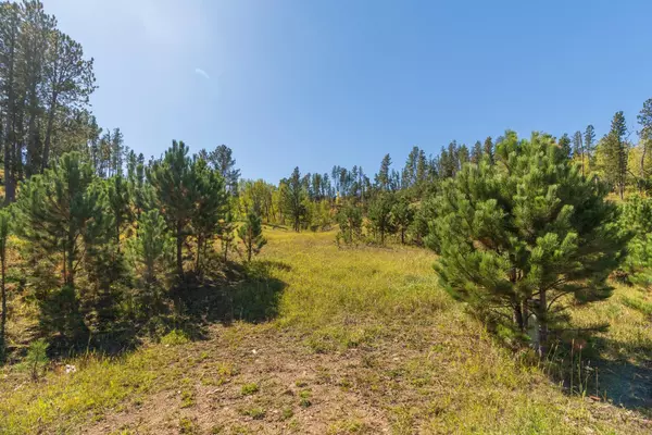 Bear Mountain Drive, Custer, SD 57730