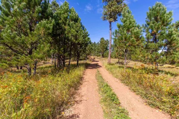 Rochford, SD 57745,Greens Gulch Loop