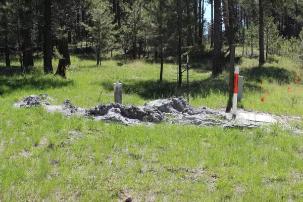 Custer, SD 57730-0000,Ruby Road