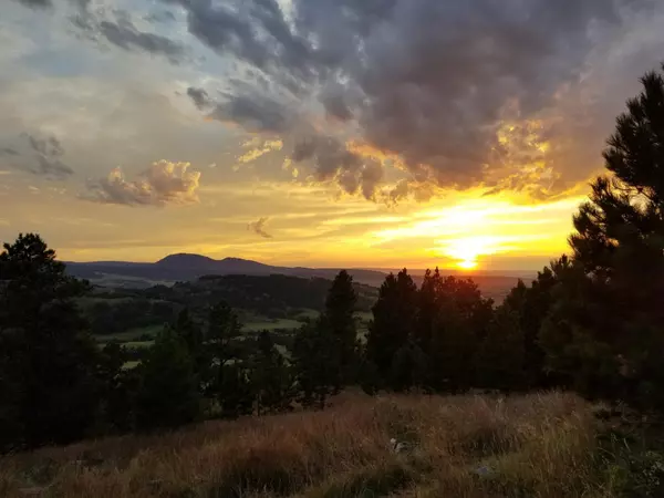 Lookout Vista Road, Spearfish, SD 57783