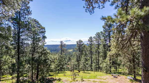 Hedgehog Lane, Deadwood, SD 57732