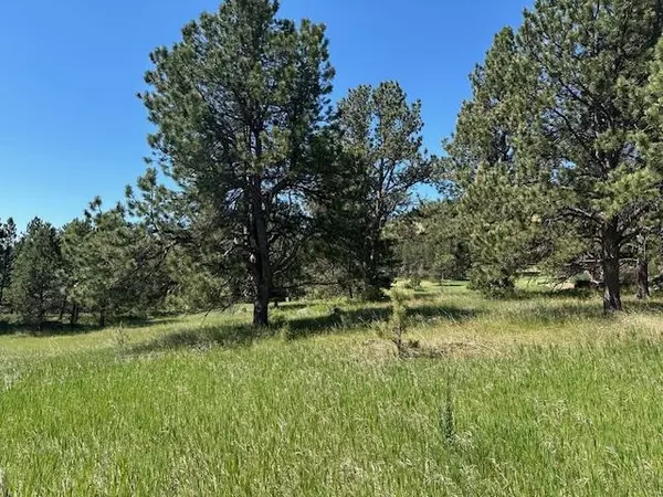 Opal Court, Newcastle, WY 82701