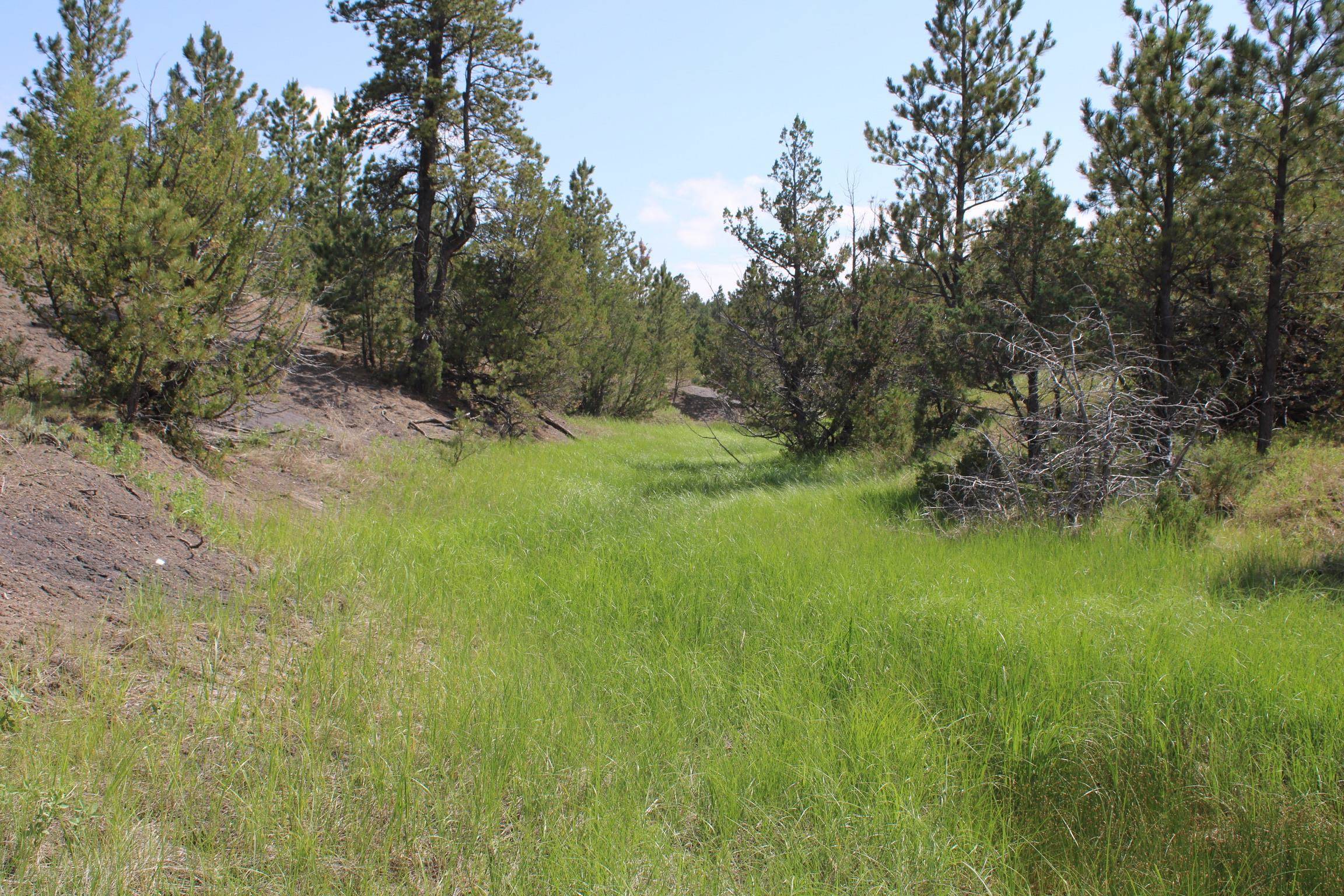 Oshoto, WY 82721-8803