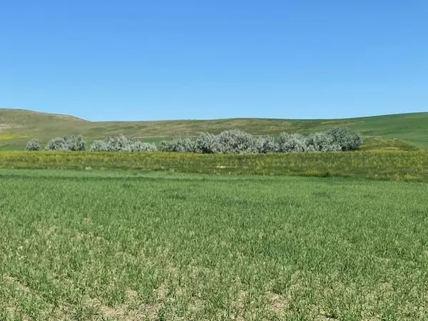 Newell, SD 57760,Highway 79