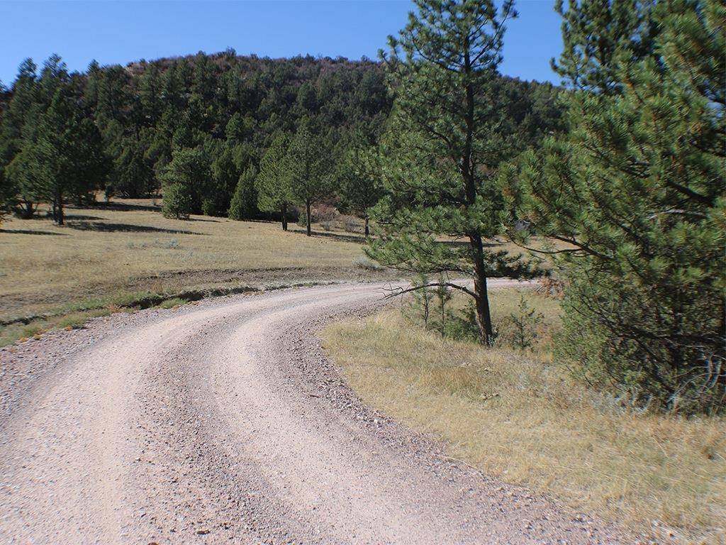 Newcastle, WY 82701,250 Salt Creek Road