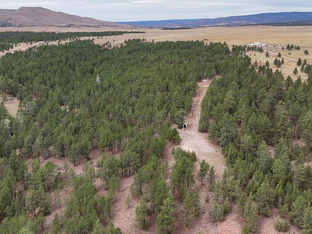 Turkey Trail, Edgemont, SD 57735