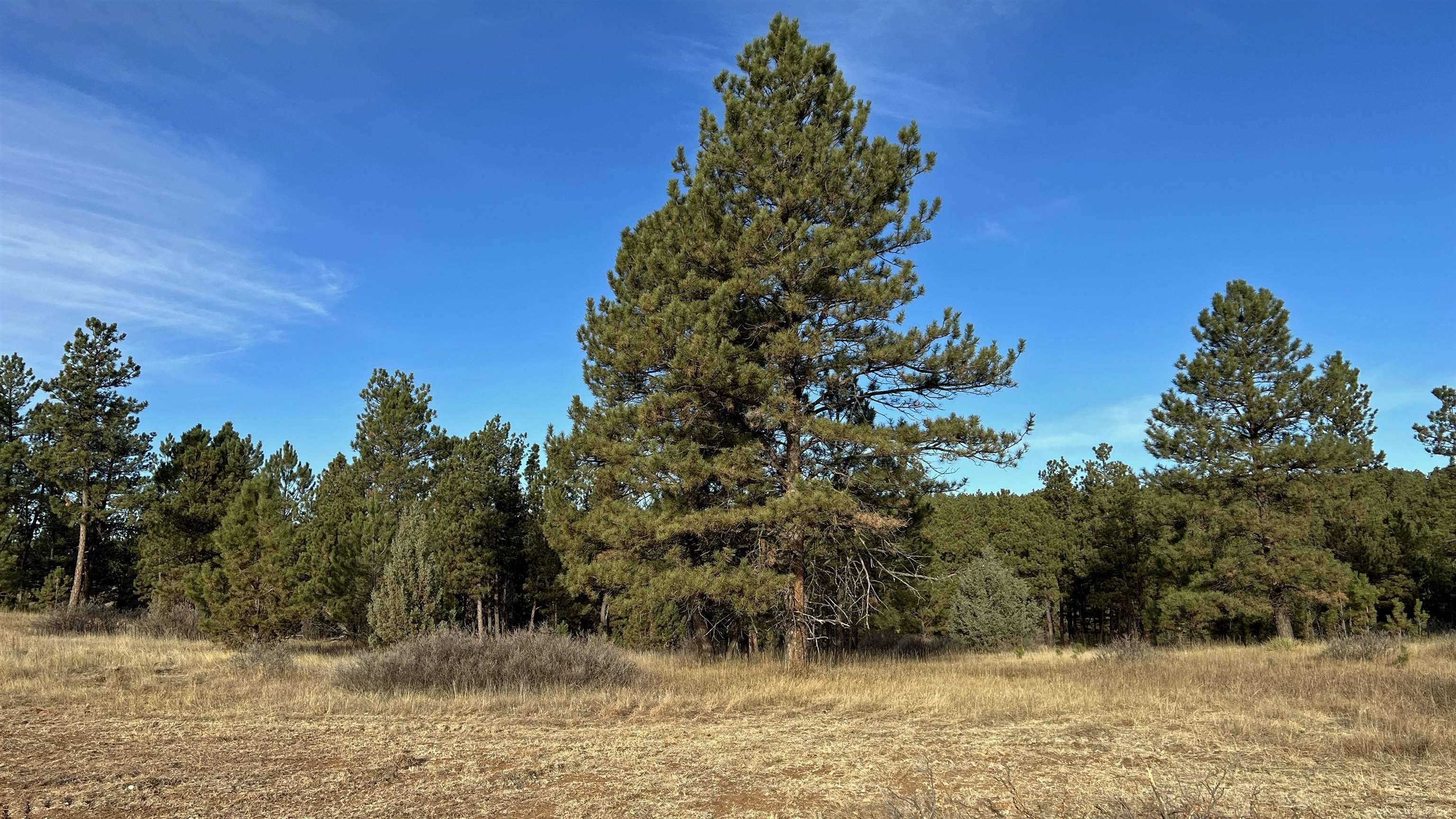 Hot Springs, SD 57747,Westwind Drive