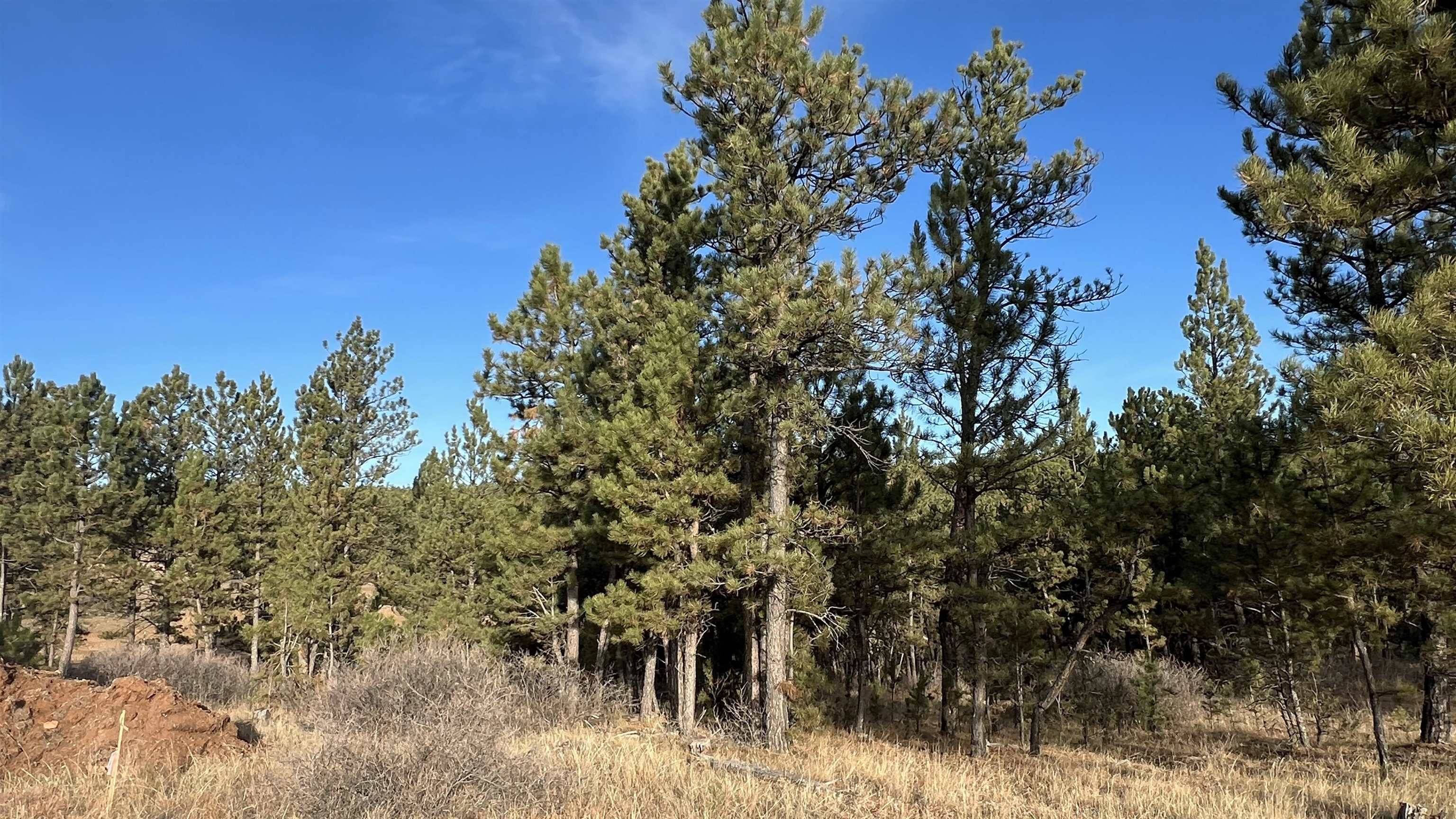 Westwind Drive, Hot Springs, SD 57747