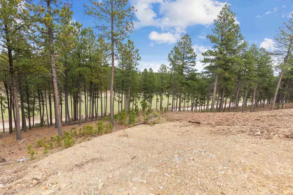 Rapid City, SD 57702,Angler Drive
