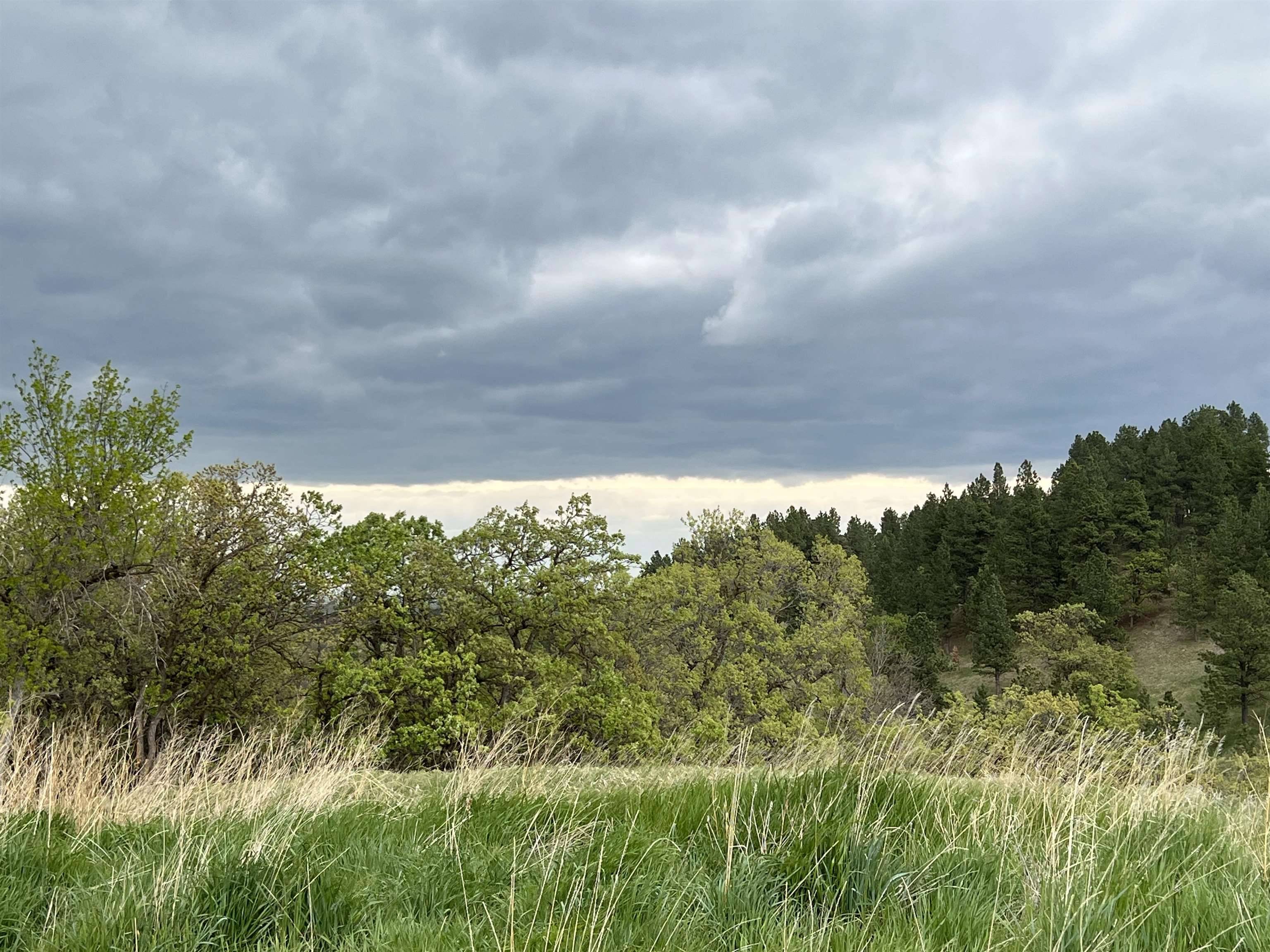 Whitewood, SD 57793,Ponderosa Pass Road
