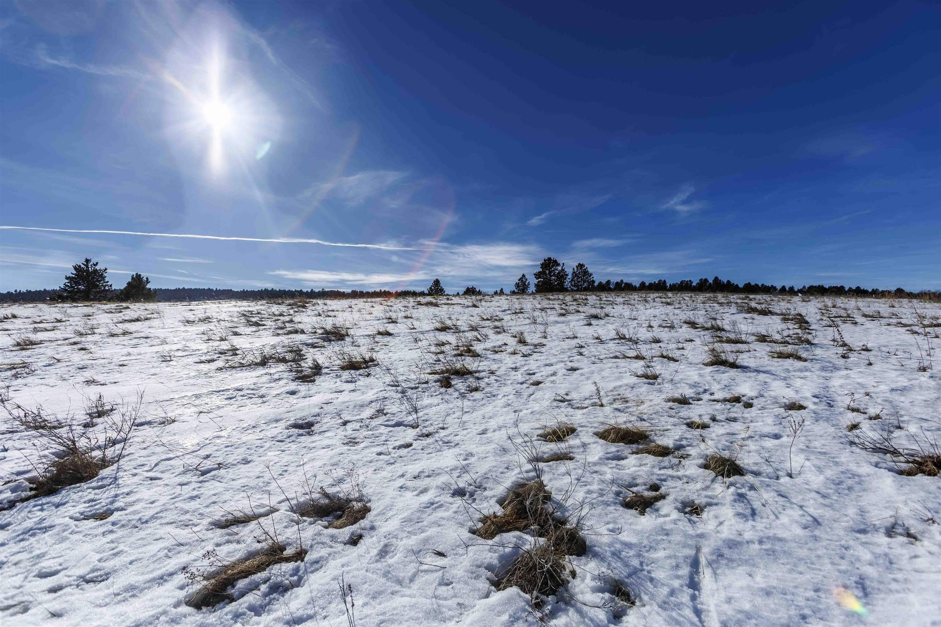 Whitewood, SD 57793,Oak Drive