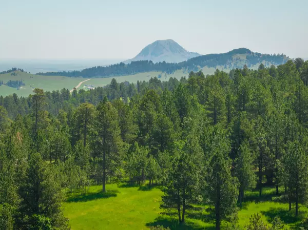 Acorn Ridge Road, Whitewood, SD 57783