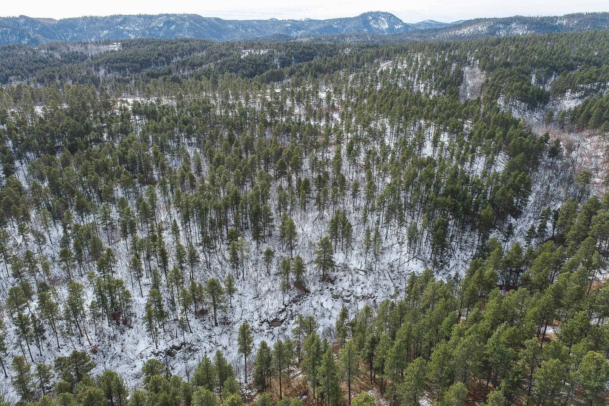 Spearfish, SD 57783,Aster Road