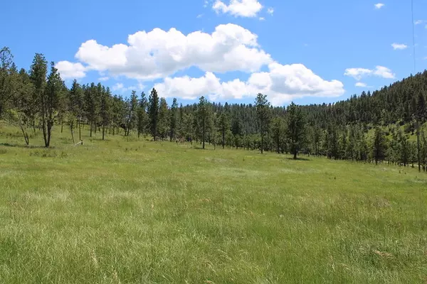 Bay Mountain Road, Hulett, WY 82720-9999