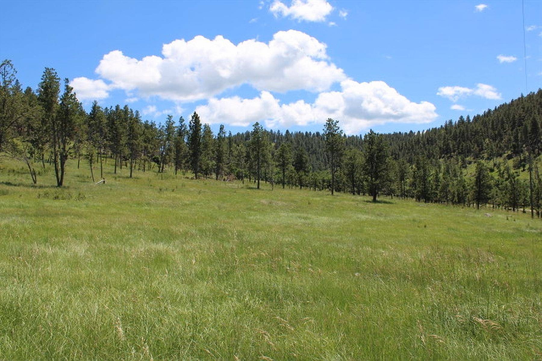 Bay Mountain Road, Hulett, WY 82720-9999