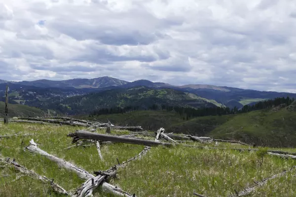 Sturgis, SD 57785,Majestic Heights Road