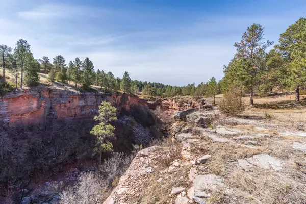 Hermosa, SD 57744,Saddle Ridge Road