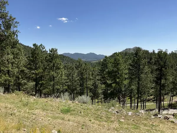 Hill City, SD 57745,Tall Pine Road