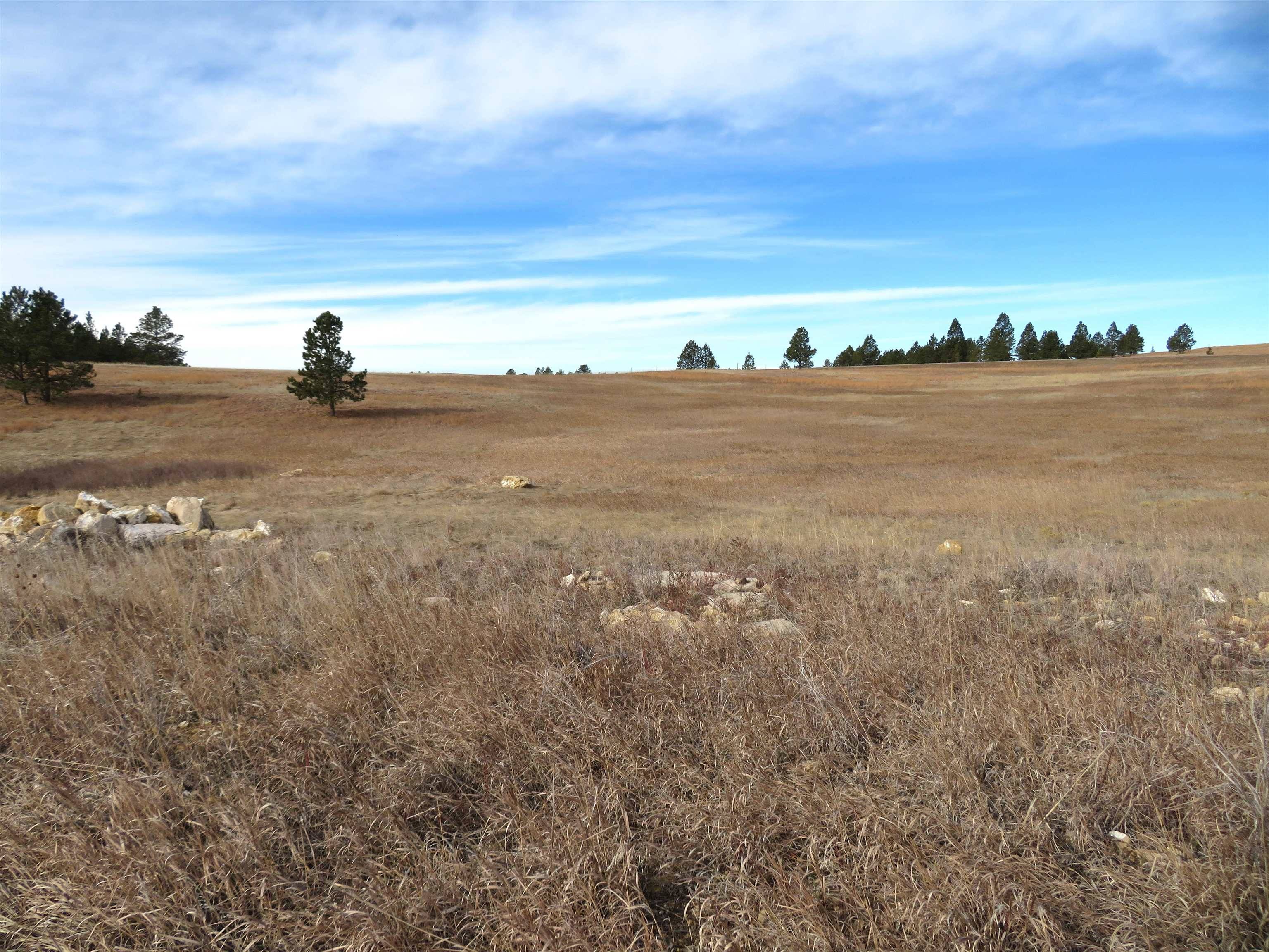 Custer, SD 57730,Lonesome Dove Street