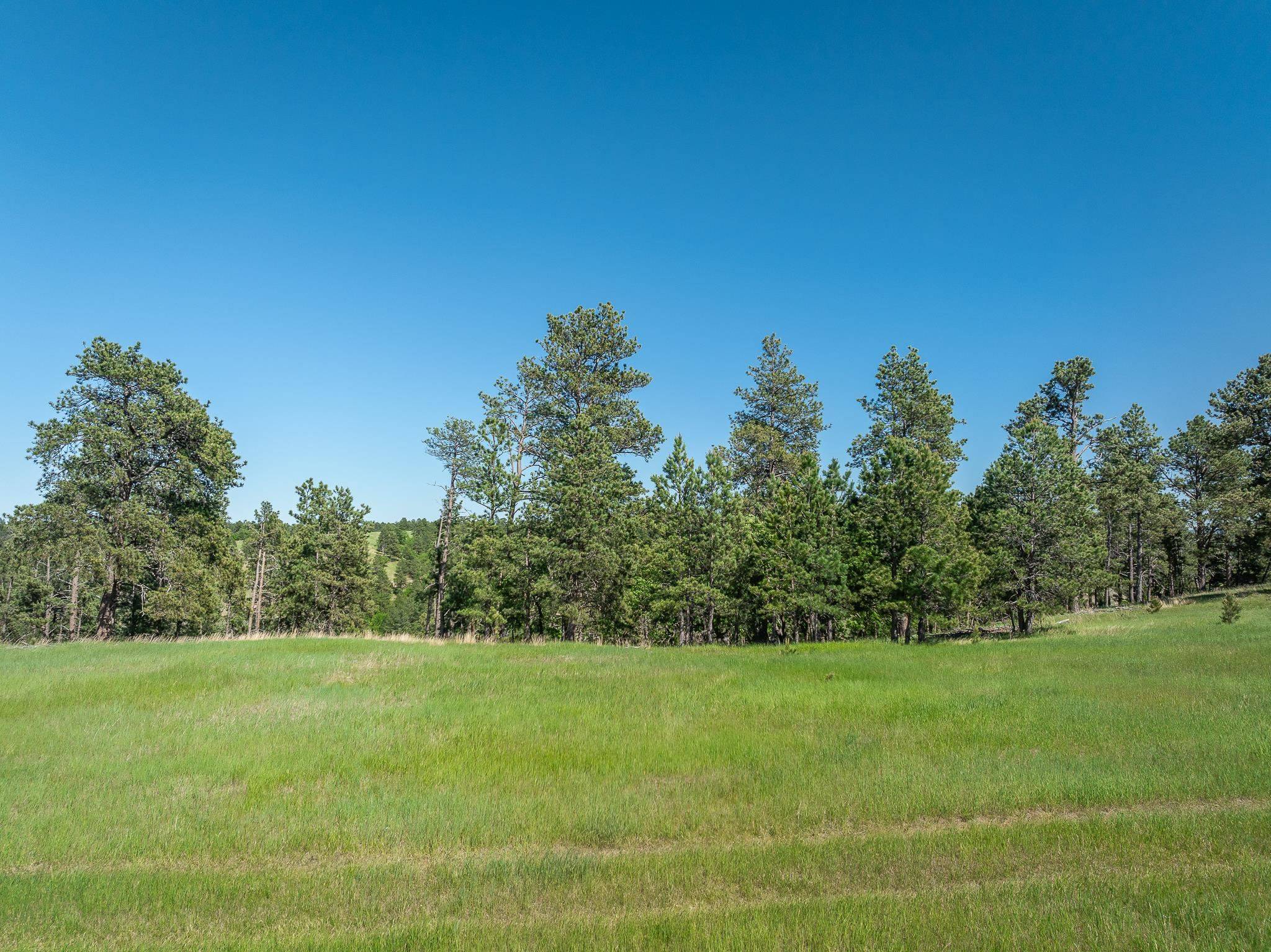 Hulett, WY 82720-9686