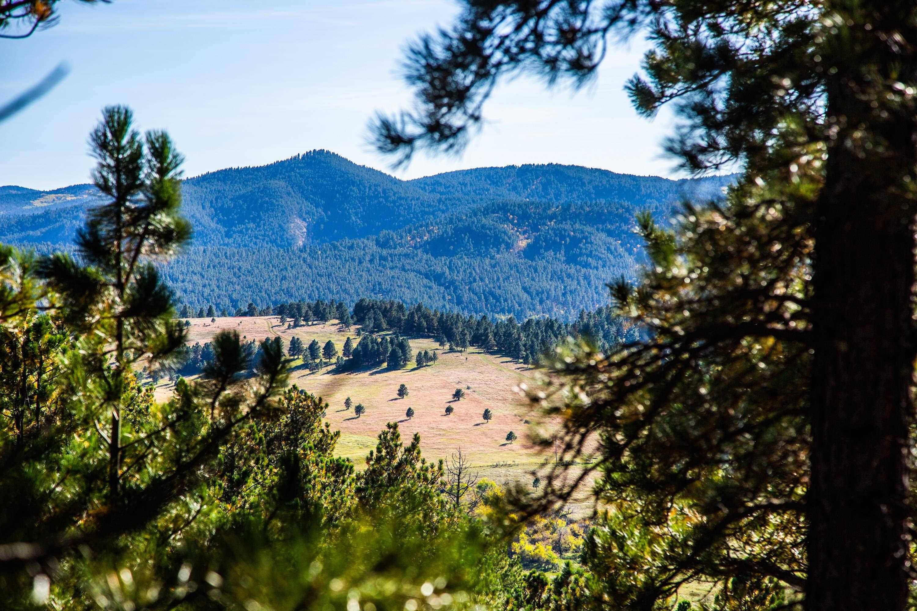 Three Peaks Pass, Whitewood, SD 57793
