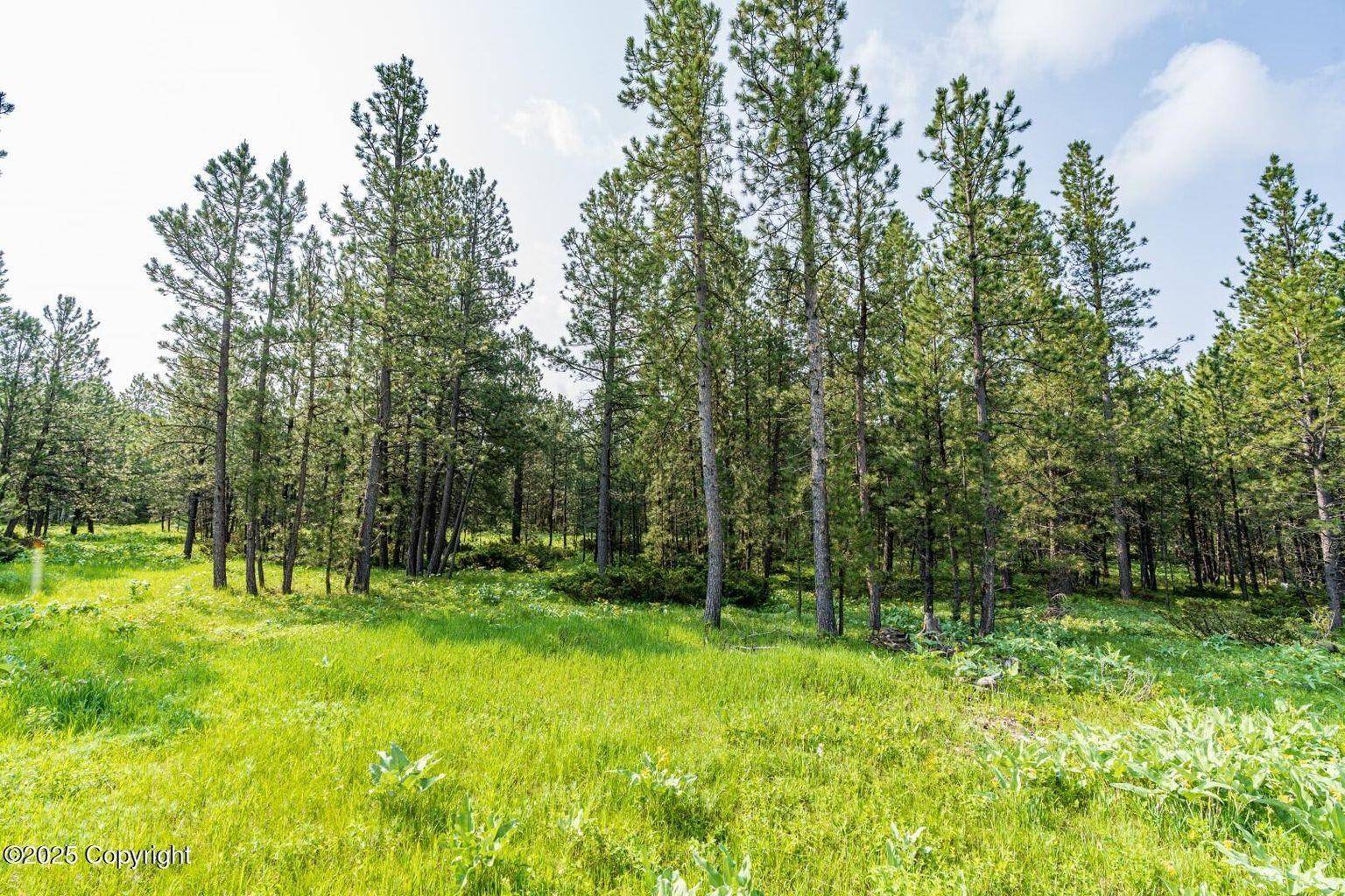 Four Corners, WY 82715,Quarry Road