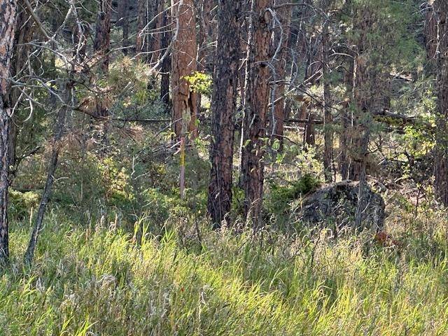 Newcastle, WY 82701,Red Bird Canyon Road