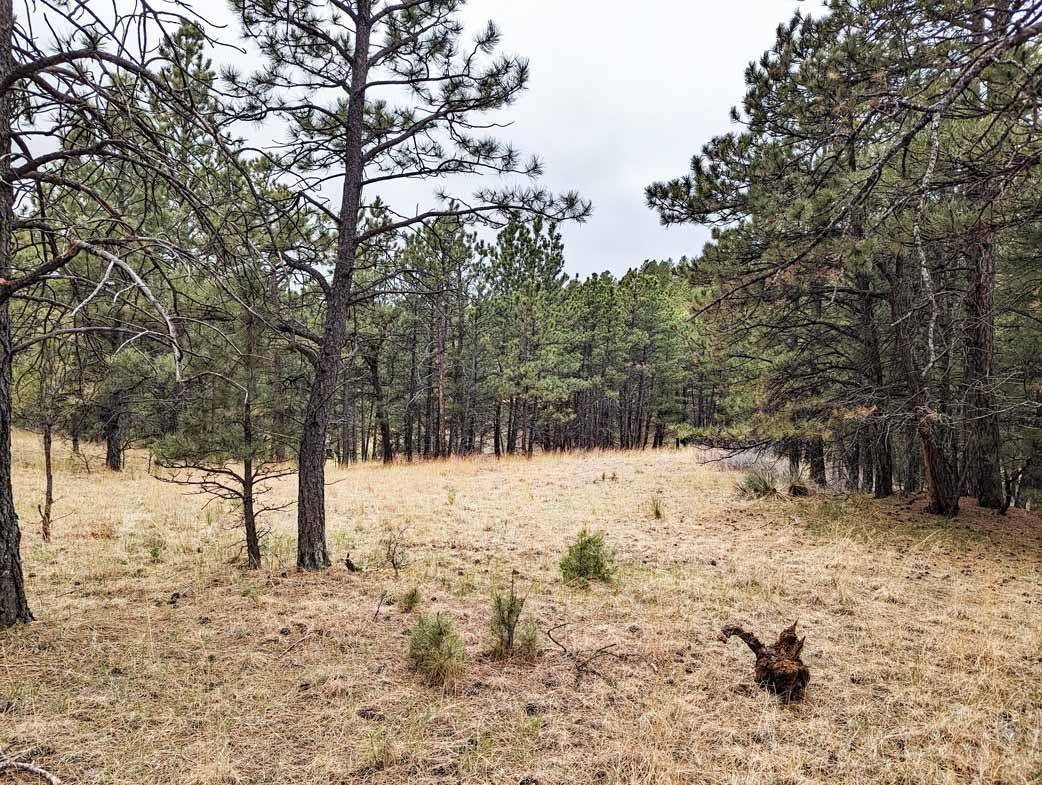 Argyle Road, Hot Springs, SD 57747