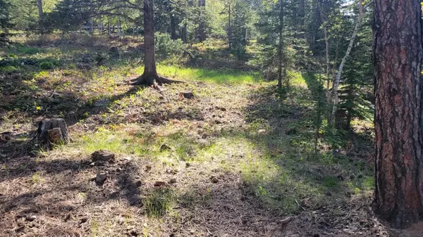 Whitetail Drive, Lead, SD 57754