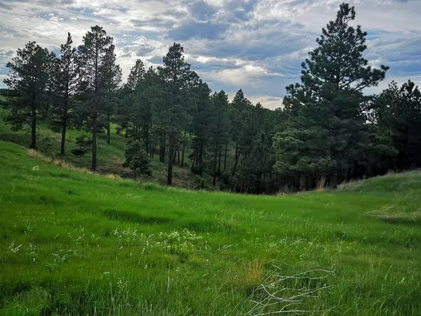 Belle Fourche, SD 57717,BBCR Road