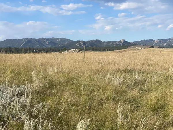 Custer, SD 57730,Stone Hill