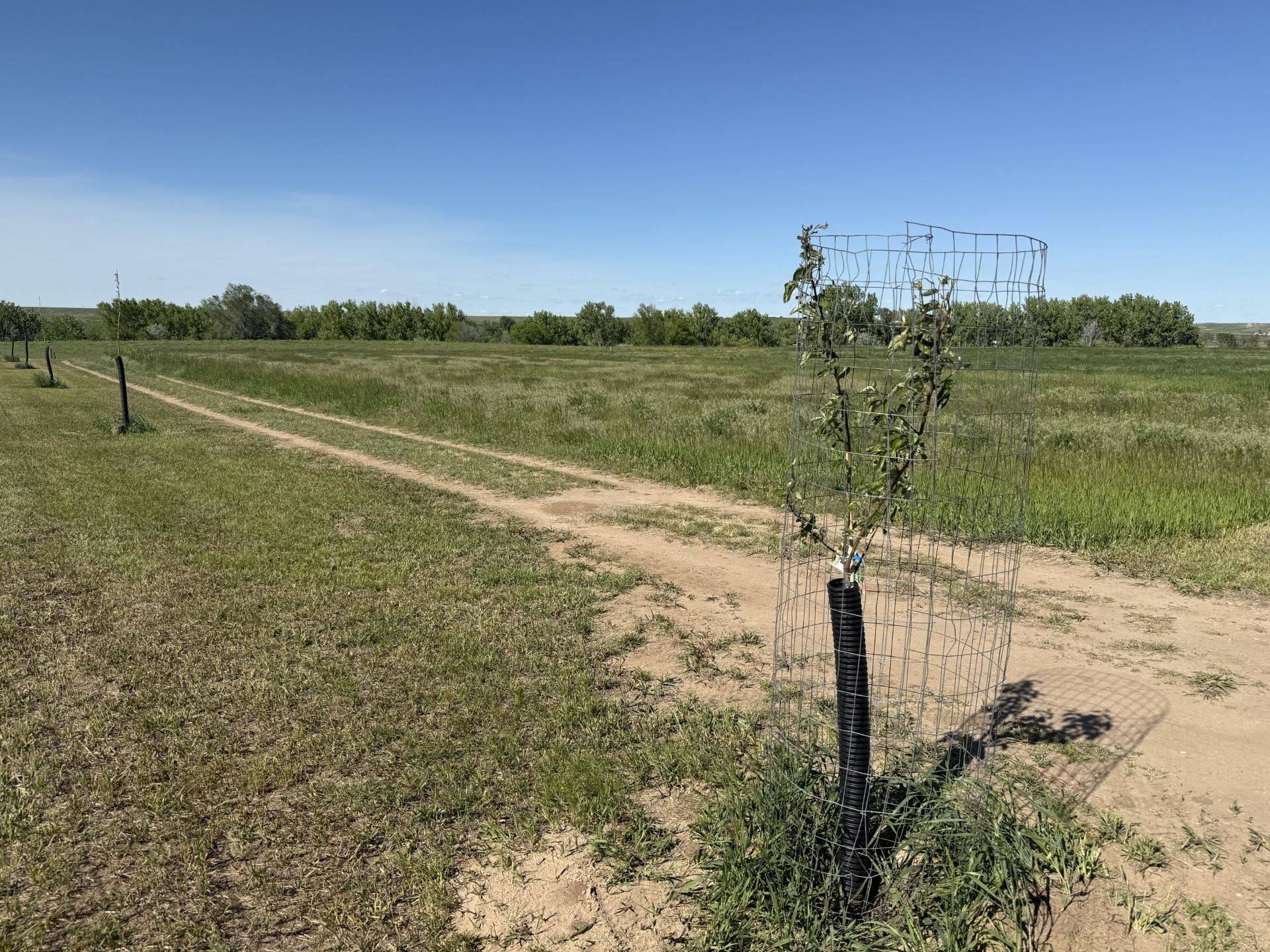 Belle Fourche, SD 57717,Wild West Place