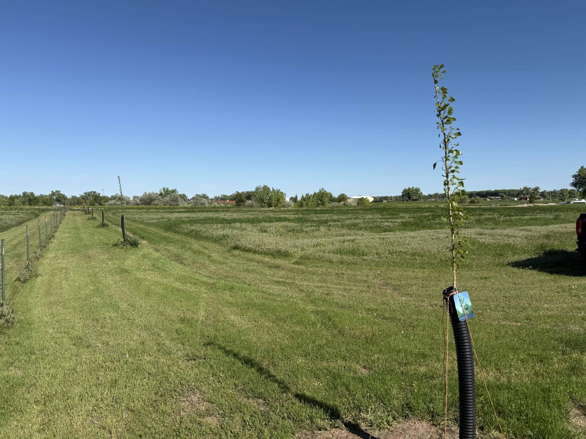 Belle Fourche, SD 57717,Wild West Place