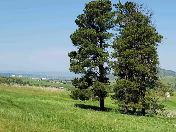 Spearfish, SD 57783,Blue Star