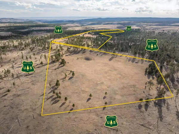 Custer, SD 57730,Custer Limestone Road