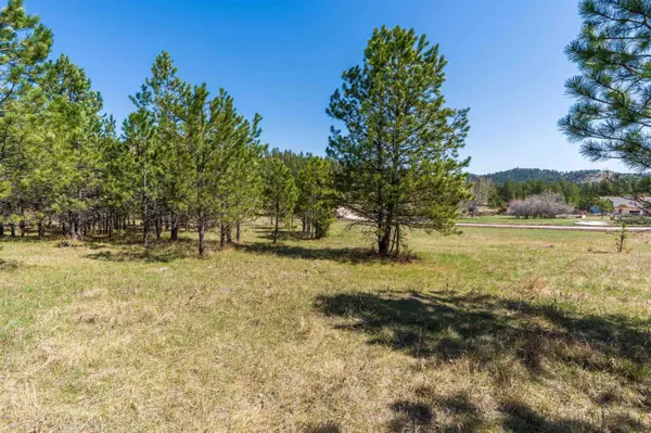 Custer, SD 57730,Beaver Creek Road