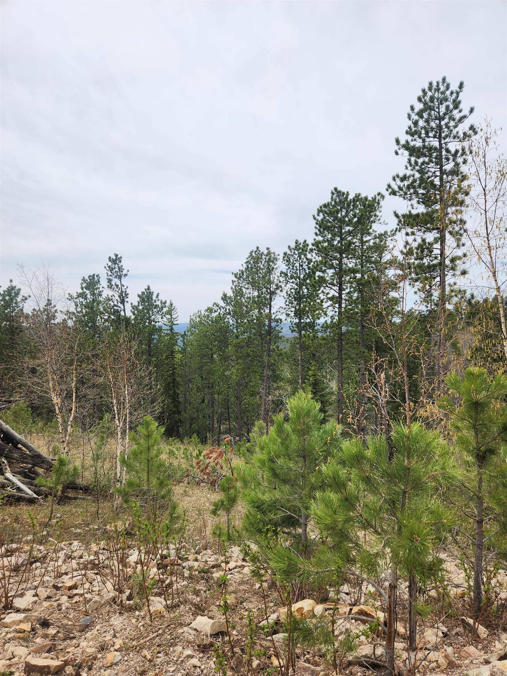 Lead, SD 57754,Aventure Loop