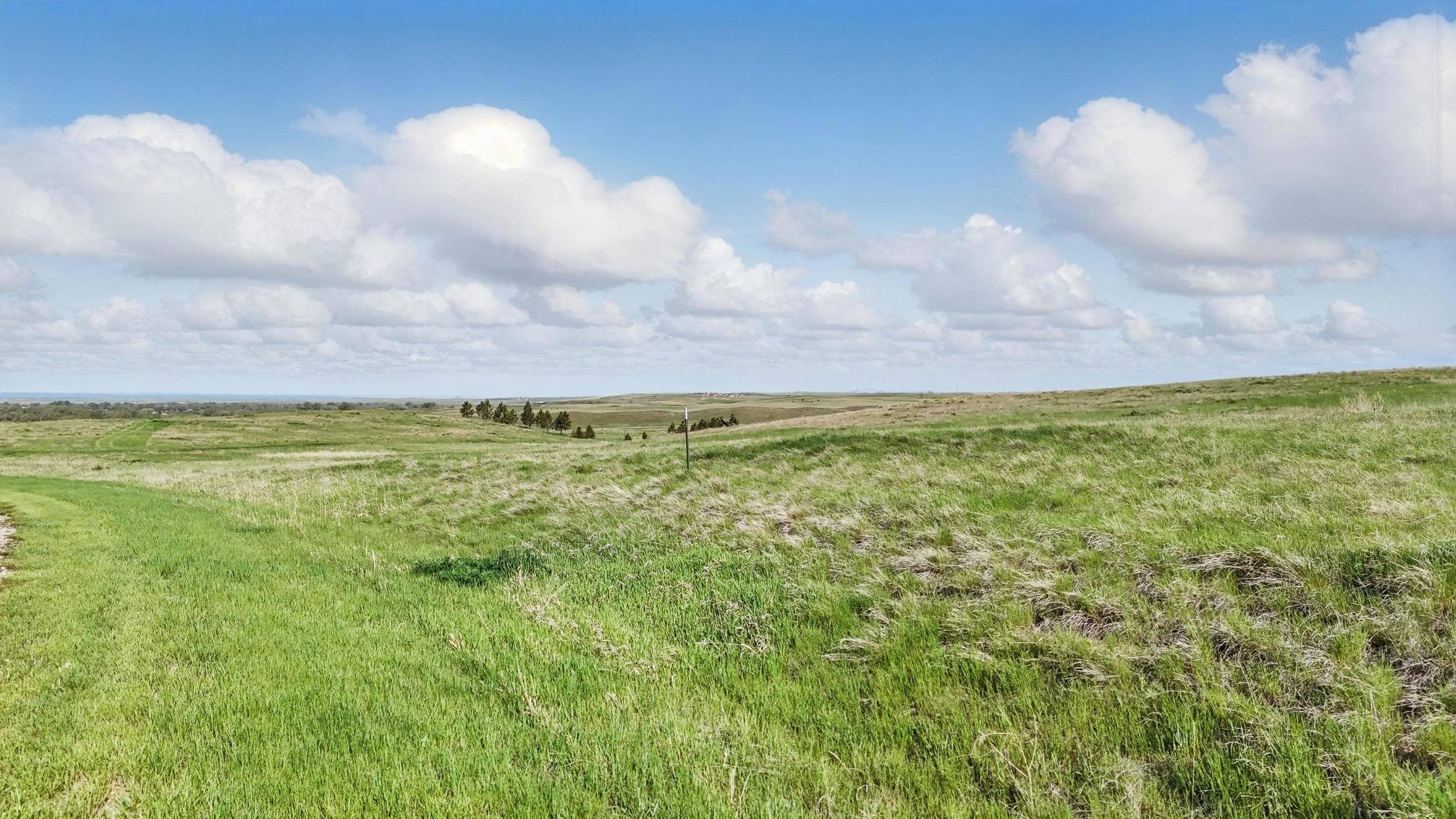 Belle Fourche, SD 57717,Rocky Road